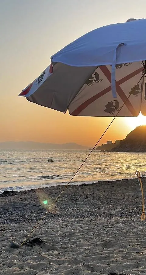 Villa Lotty A 5 Minuti A Piedi Dal Mare توري ديل ستيل إيطاليا